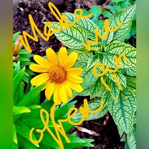 MAKE ME AN OFFER!!!!